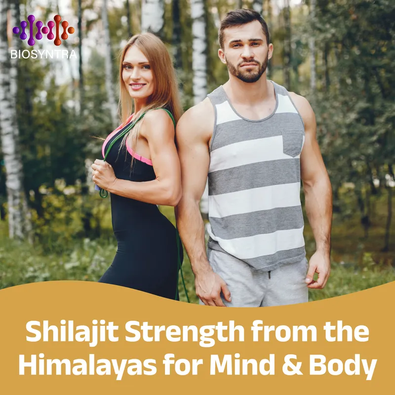 Shilajit Resin view 3