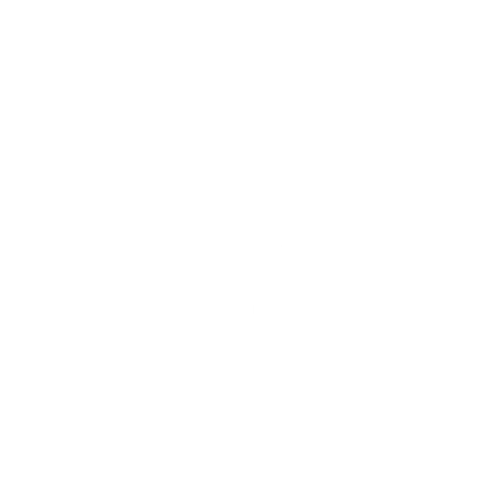 NAD+ 900mg Supplement with Resveratrol | Anti-Aging & Energy Support review | Biosyntra