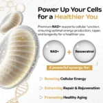 NAD+ NICOTINAMIDE RIBPSIDDE RESERATROL - Image 2