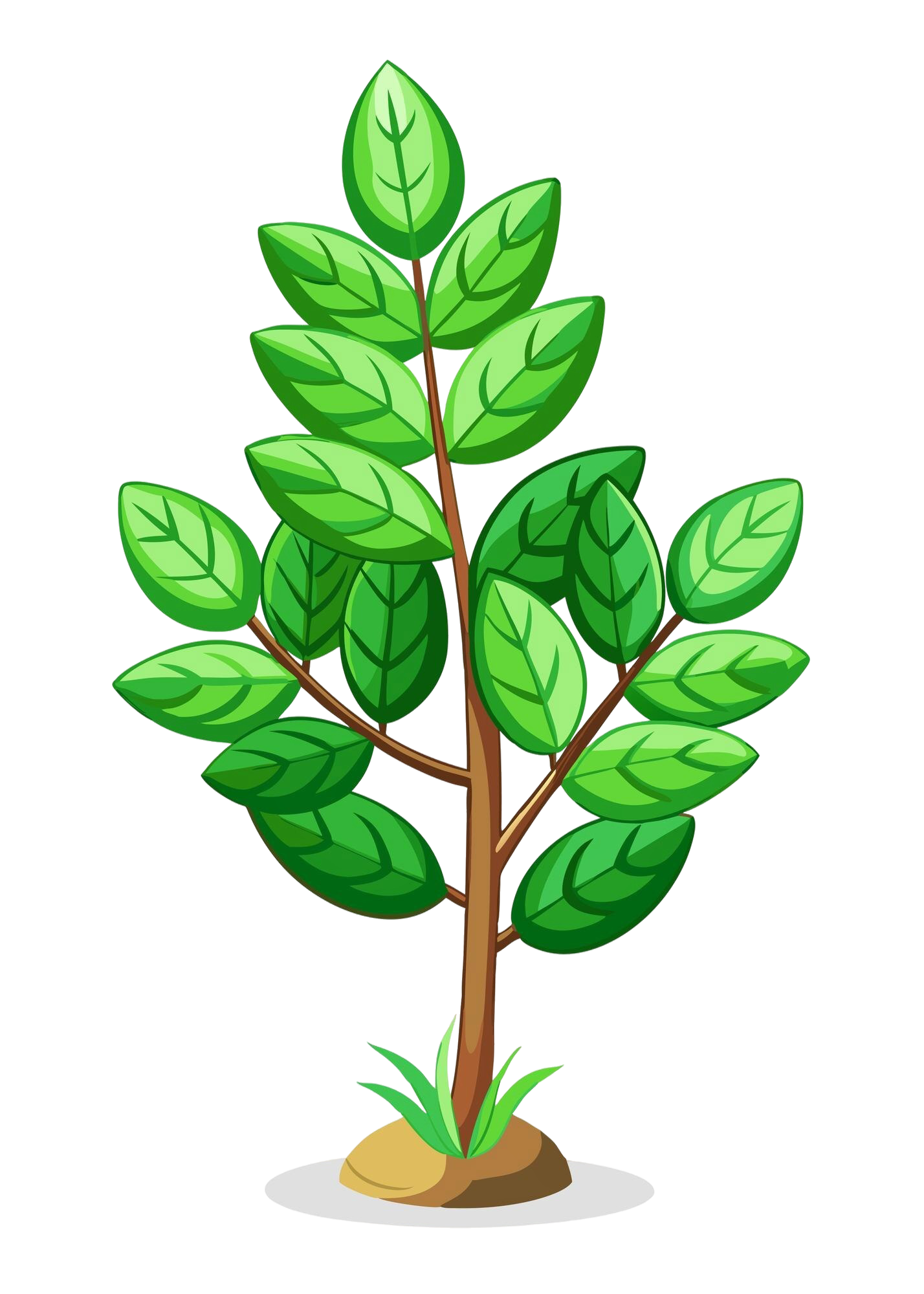 About Us | Premium Health Supplements & Wellness Brand review | Biosyntra